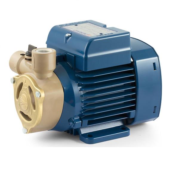 UK 41PNQA6PA1 Pedrollo PQA Pump with RYTON peripheral impeller PQAm60 0,50HP/0,3