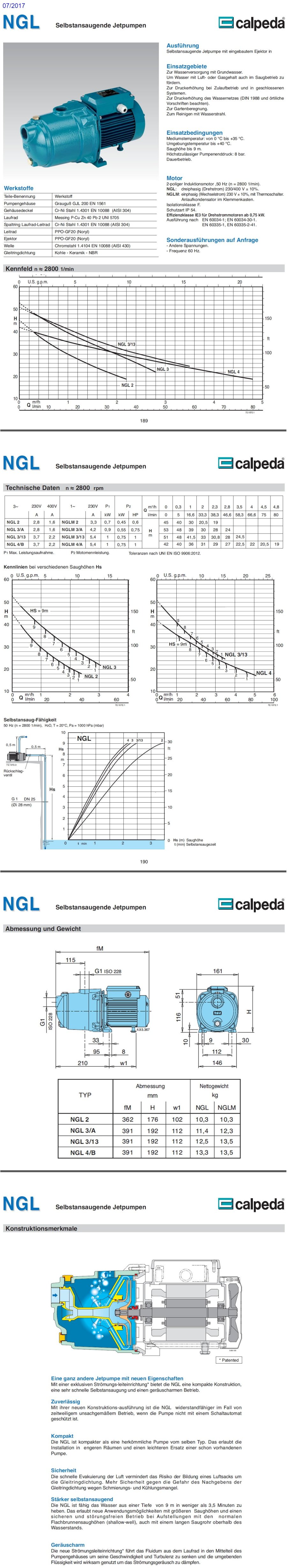 Selbstansaugende Jetpumpe CALPEDA NGL4m//A 0,75kW 1Hp Einzelphase 230V NGLM