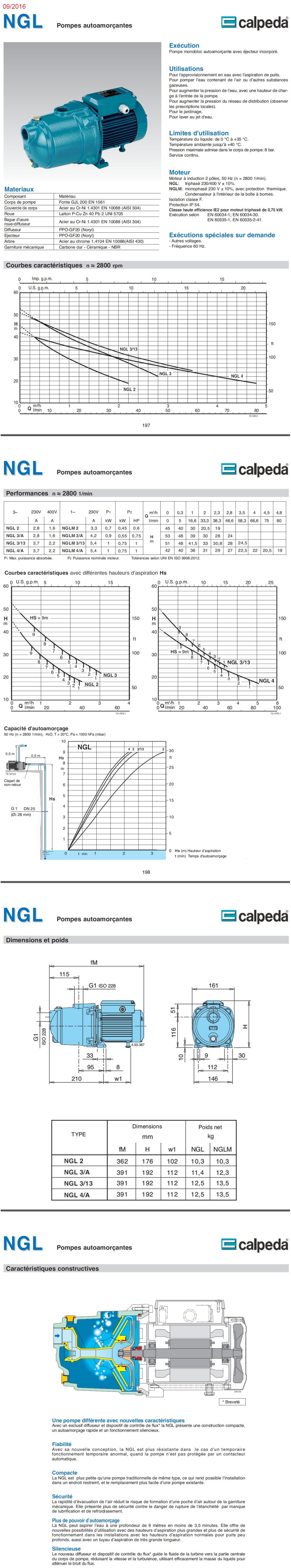 Pompe autoamor/çante NGL4//A 0,75kW 1Hp Trois Phases 400V 50Hz Calpeda NGL