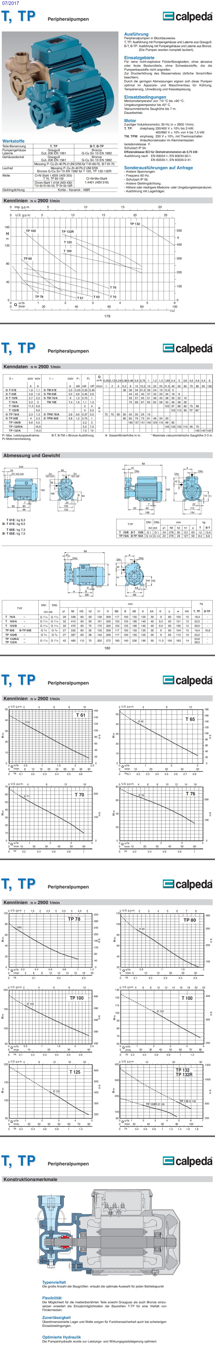 Artikelbeschreibung Calpeda TP 100/B